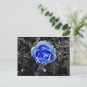 Blaue Rose Postkarte (Stehend Vorderseite)