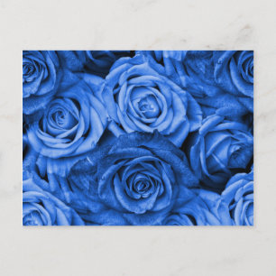 Blaue Rose Postkarte