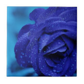 Blaue Rosen-Blume Fliese (Vorderseite)