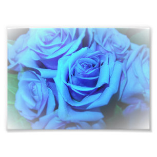 Blaue Rosen Foto-Druck Fotodruck