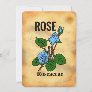 Blaue Rosenzeichnung im Stil von gealtertem Papier