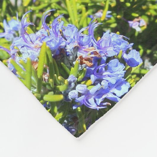 blaue Rosmarin-Blumen auf Grün Fleecedecke (Ecke)