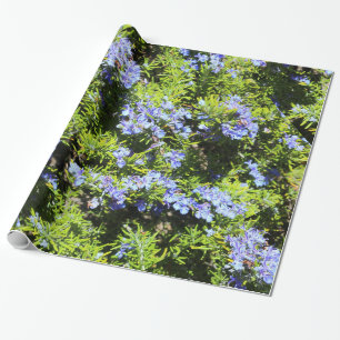 blaue Rosmarin-Blumen auf Grün Geschenkpapier