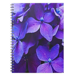 Blaue rote Hortensie Notizblock