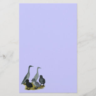 Blaue Runner-Entenfamilie Briefpapier