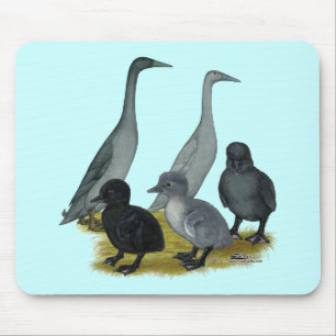 Blaue Runner-Entenfamilie Mousepad