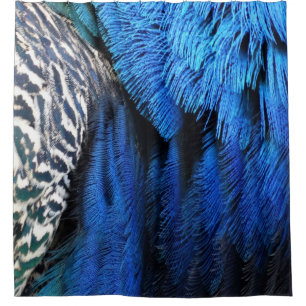 Blaue Samt-Pfau-Federn Duschvorhang