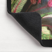 BLAUE SAPPHIRE HUMMING BIRD MOUSEPAD (Ecke)
