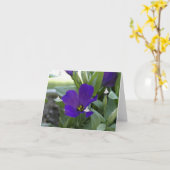 Blaue Schattenfairies im Zurücksetzen Karte (Gelbe Blume)