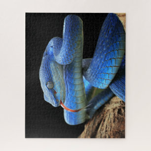 Blaue Schlange Puzzle