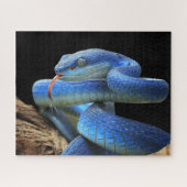 Blaue Schlange Puzzle (Horizontal)