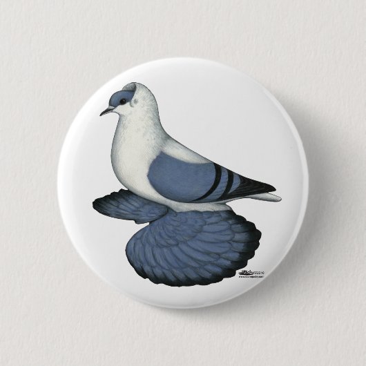 Blaue Schlucktaube Button (Vorderseite)