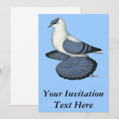 Blaue Schlucktaube Einladung (Vorne/Hinten)