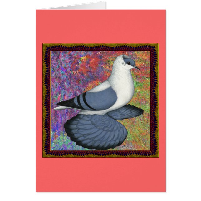 Blaue Schlucktaube Gerahmt (Vorne)
