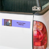 Blaue Schlucktaube Gerahmt Autoaufkleber (Auf Lkw)