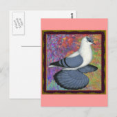 Blaue Schlucktaube Gerahmt Postkarte (Vorne/Hinten)