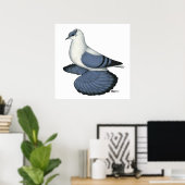 Blaue Schlucktaube Poster (Heimbüro)