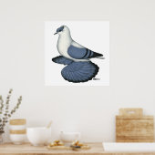 Blaue Schlucktaube Poster (Küche)