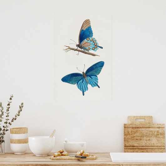 Blaue Schmetterlinge Poster (Küche)