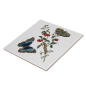 Blaue Schmetterlinge und rote Früchte Fliese (Seite)