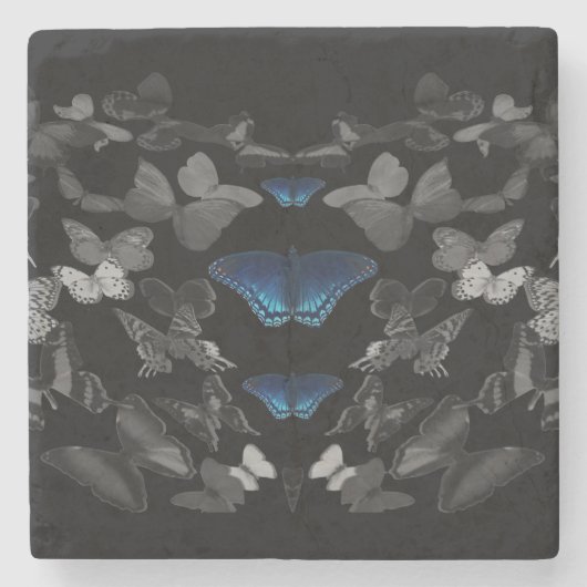 Blaue Schmetterlinge und schwarze und weiße Schmet Steinuntersetzer (Vorderseite)