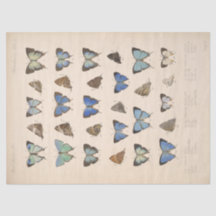 Blaue Schmetterlinge Vintage Ephemera Decoupage Tü