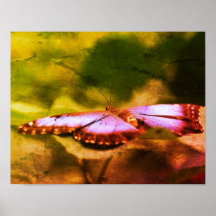 Blaue Schmetterlings-Natur-Distressed-Kunst Poster