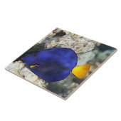 Blaue Schmetterlingsfische Korallenriff Fliese (Seite)