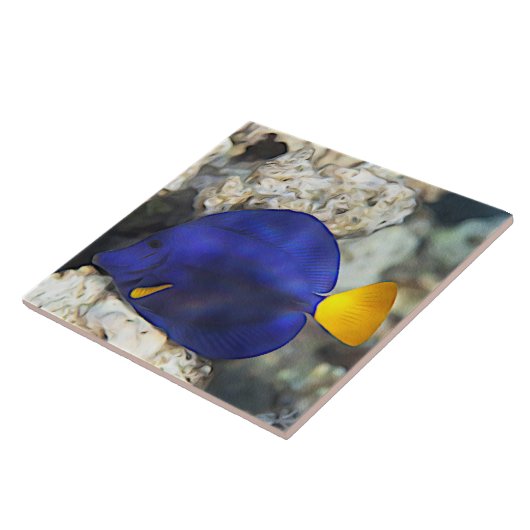 Blaue Schmetterlingsfische Korallenriff Fliese (Seite)