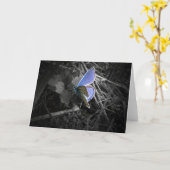 blaue Schmetterlingsgrußkarte Karte (Gelbe Blume)