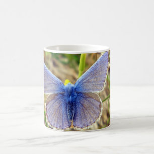 Blaue Schmetterlingskäfer-Tasse Kaffeetasse