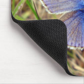 Blaue Schmetterlingsmuse Mousepad (Ecke)