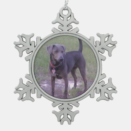 blaue Schnürsenkel voll Schneeflocken Zinn-Ornament (Vorderseite)