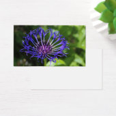 Blaue Schönheit (Schreibtisch)