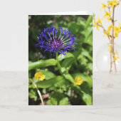 Blaue Schönheit Karte (Gelbe Blume)