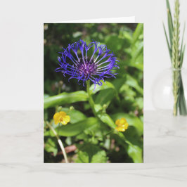 Blaue Schönheit Karte