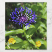 Blaue Schönheit Weinetikett (Einzelnes Label)