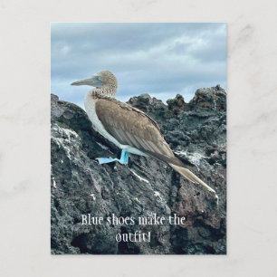 Blaue Schuhe Vogel Postkarte