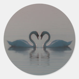 Blaue Schwäne müssen Liebe sein Runder Aufkleber