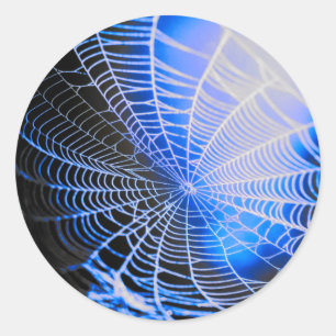 Blaue schwarze gruselige unheimliche Spinnennetz Runder Aufkleber