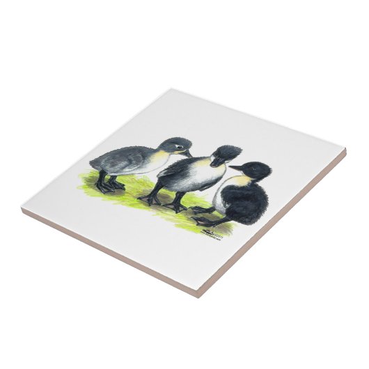 Blaue schwedische Entlein Fliese (Seite)