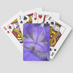 Blaue Schwertlilie Blume Spielkarten