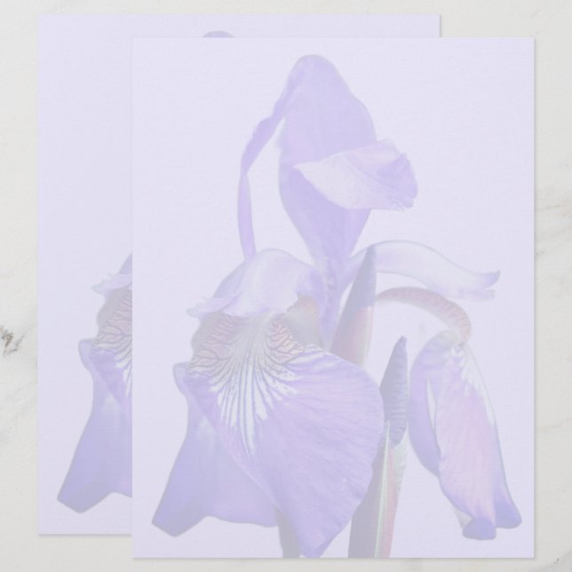 Blaue Schwertlilie  Briefbogen (Vorne/Hinten)