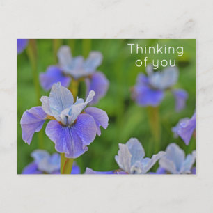 Blaue Schwertlilie Ich denke an dich Postkarte