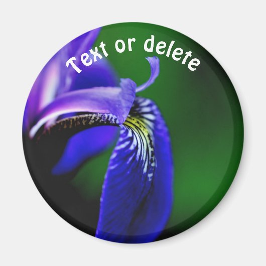 Blaue Schwertlilie personalisiert Magnet (Vorne)