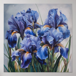Blaue Schwertlilien-Blumenkunst Druck Poster