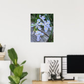 Blaue Schwertlilien-Blüten Poster (Heimbüro)