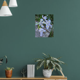 Blaue Schwertlilien-Blüten Poster