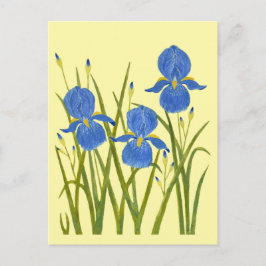 Blaue Schwertlilien Gelbe Postkarte