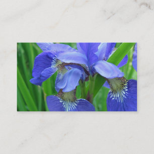 blaue Schwertlilienblüten Visitenkarte